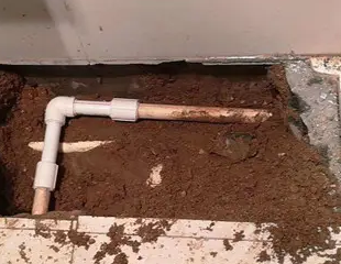 日照市测漏水哪家好