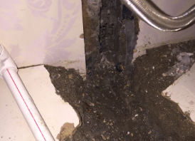 日照市卫生间测漏水哪家好