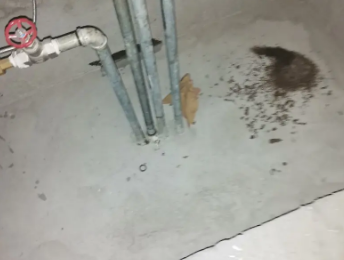 日照市卫生间测漏水价格明细