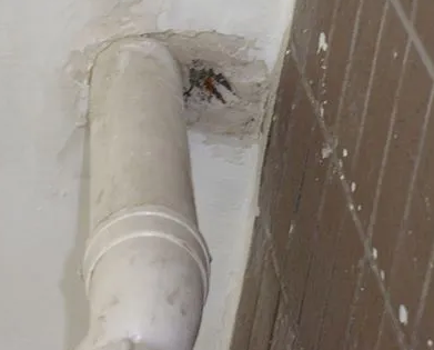 日照市漏水检测哪家好